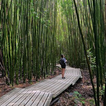 Pipiwai Trail - Hiking Near Me - Hana,, Hawaii