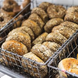 Egg Everything Bagels Egg Everything Bagels