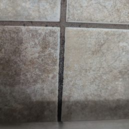 Black mold Black mold