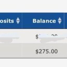 My bank statement