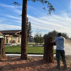 Arbor Green Tree Service