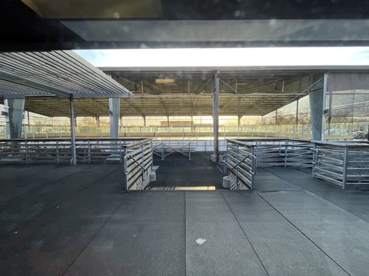 IceLand Ice Arena by null