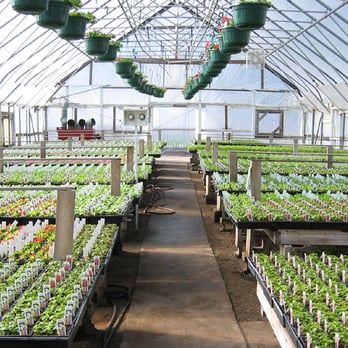Weber's Greenhouse - Nurseries & Gardening Near Me - Brooklyn Center, Minnesota Weber's Greenhouse - Nurseries & Gardening Near Me - Brooklyn Center, Minnesota