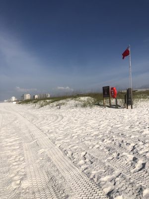 Henderson Beach State Park by null