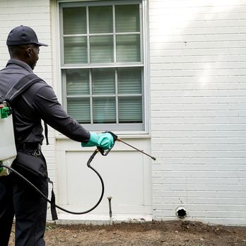 Hawx Pest Control - Pest Control Near Me - Indianapolis, Indiana Hawx Pest Control - Pest Control Near Me - Indianapolis, Indiana