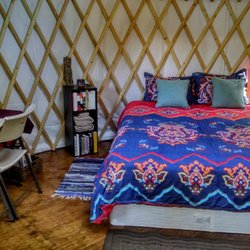 Shearwater Cove - Interior of yurt