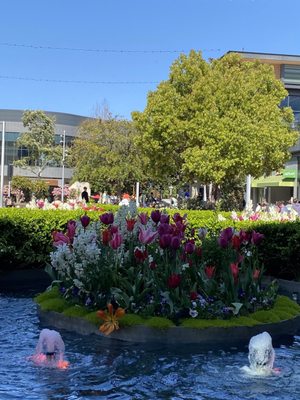 Hillsdale Shopping Center by null