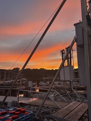 The Rudder by null