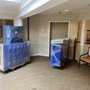 Photo of Bring It! Movers