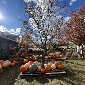 Alstede Farms - Fruits & Veggies Near Me - Chester, New Jersey