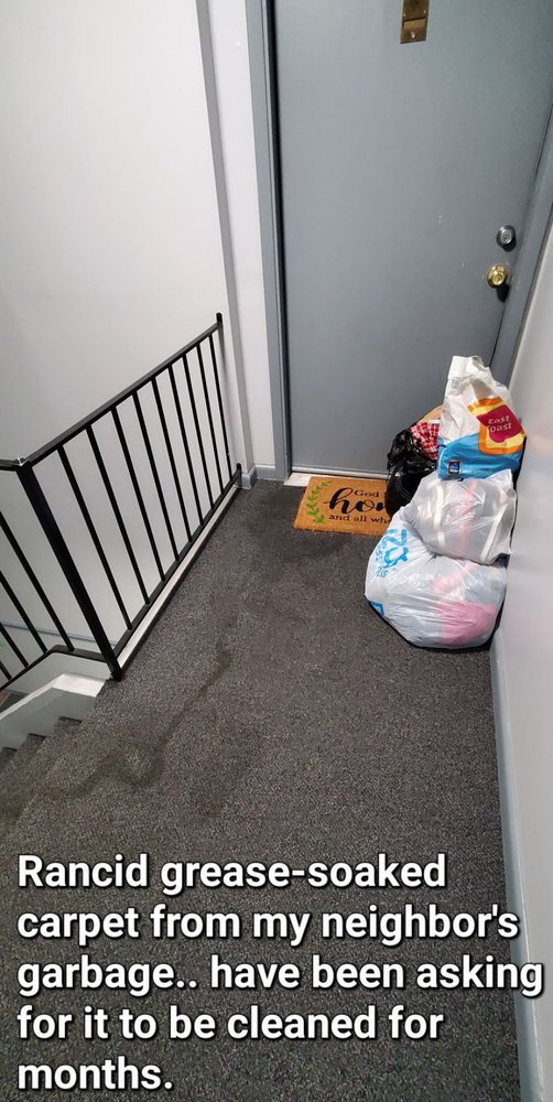 ARBOR POINTE Updated October 2024 16 Photos 100 Buckhead Dr