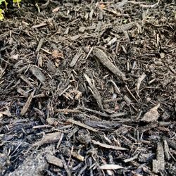 Nu-Turf Lawn & Garden - Fresh Black Mulch! 100% Organic~