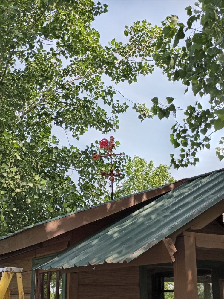 Slide of Carl's handyman services