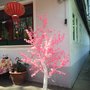 China-Restaurant Mandarin