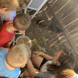 The Learning Patch Children's Center - Feeding the Chickens