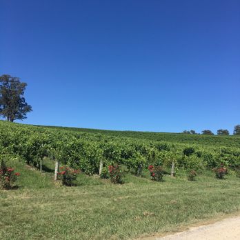 Golding Wines - Wineries Near Me - Lobethal, SA