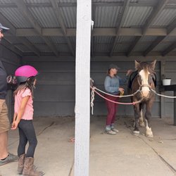 Seven Oaks Farm