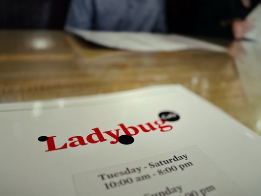 Ladybug Café by null