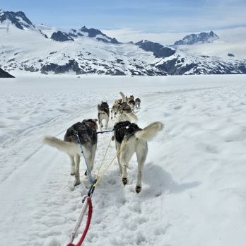 Coastal Helicopters - Aerial Tours Near Me - Juneau, Alaska Coastal Helicopters - Aerial Tours Near Me - Juneau, Alaska