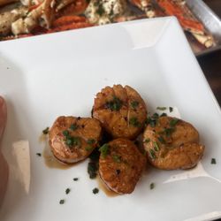 A.N.S. Seafood & Market - Scallops