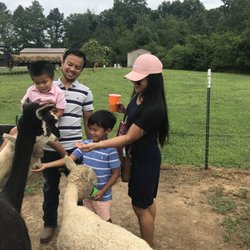 Southern Estate Alpacas