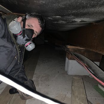 Ktown Pest Solutions - We go where the rodents and best go from the crawl space to the attic. How else are you going to figure it out? - Pest Control Near Me Ktown Pest Solutions - We go where the rodents and best go from the crawl space to the attic. How else are you going to figure it out? - Pest Control Near Me
