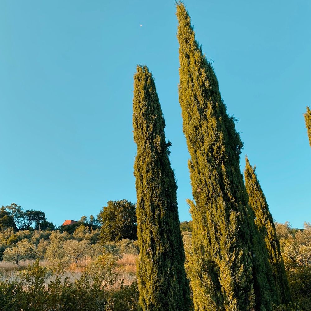 Villa Giorgia - View - Hotels Near Me - Pistoia, PT
