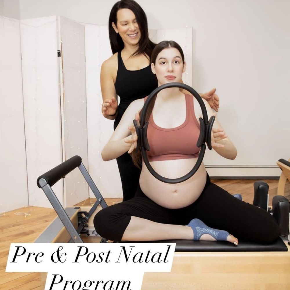 Amy J Pilates & Wellness Logo