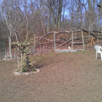 Forest Park Barking Lot - Dog Parks Near Me - Kew Gardens, New York Forest Park Barking Lot - Dog Parks Near Me - Kew Gardens, New York