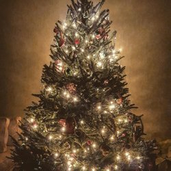 DC Tree Delivery