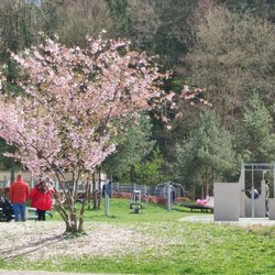 Backnanger Straßenfest - Das alles wird dann zum festivalgelände