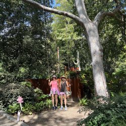 Garden Safaris - So many fun swings along the way