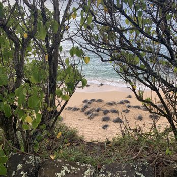 Hookipa Beach Park - Parks Near Me - Paia, Hawaii Hookipa Beach Park - Parks Near Me - Paia, Hawaii