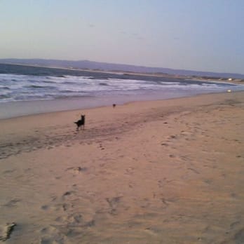 Moss Landing State Beach - Beaches Near Me Moss Landing State Beach - Beaches Near Me