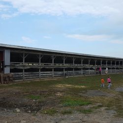 Marwell Dairy Farm