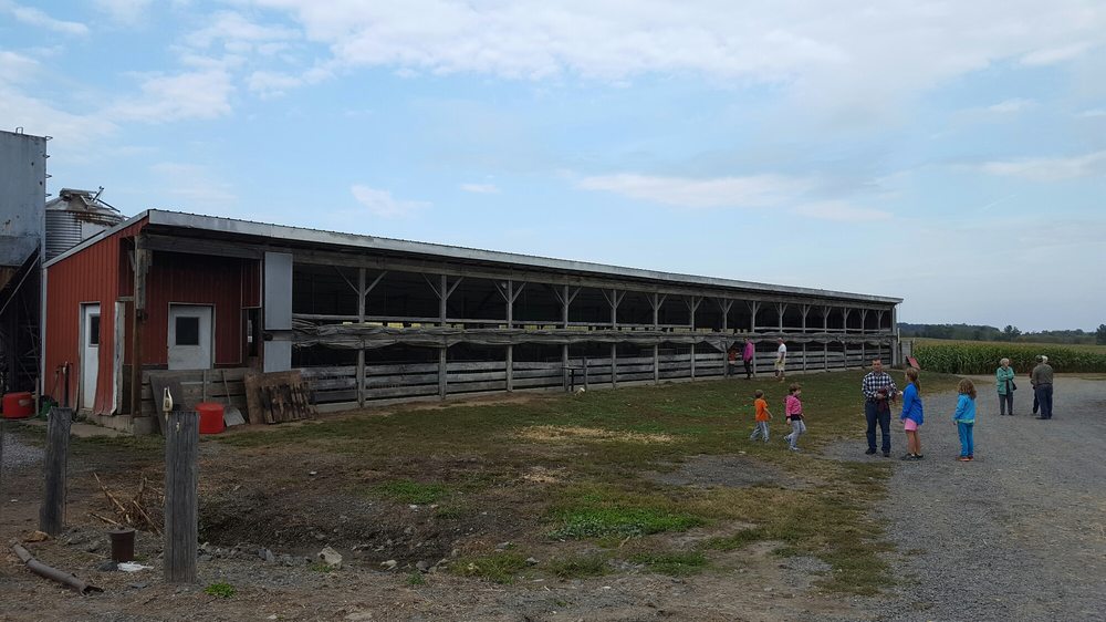 MARWELL DAIRY FARM Updated August 2024 31 Photos 2072 Cassel Rd