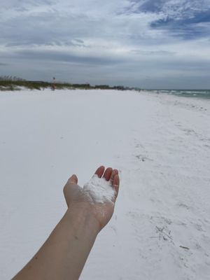 Henderson Beach State Park by null