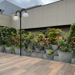 Tryp by Wyndham São Paulo - Outdoor Garden