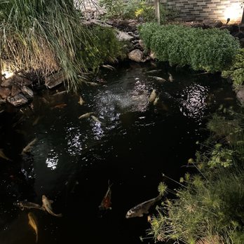 Imperial Garden - Pound in back - Chinese Near Me - Mexicali, BCN