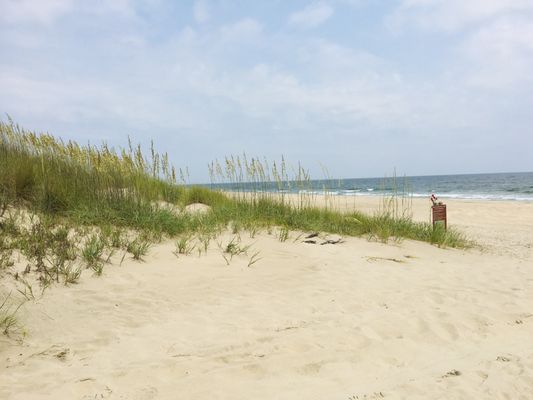 False Cape State Park by null
