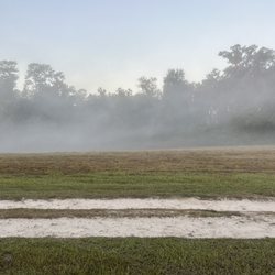 San Felasco Hammock Preserve State Park - Foggy start