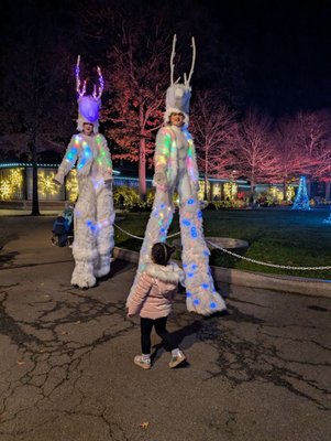 Bronx Zoo by null Bronx Zoo by null