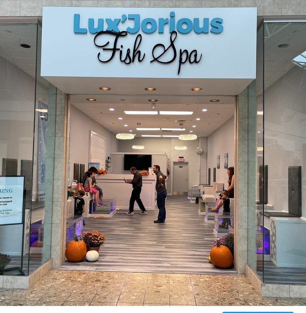 LUX’JORIOUS FISH SPA Updated August 2024 11 Photos 27900 Chagrin