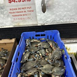 Park to Shop - Live crabbies!