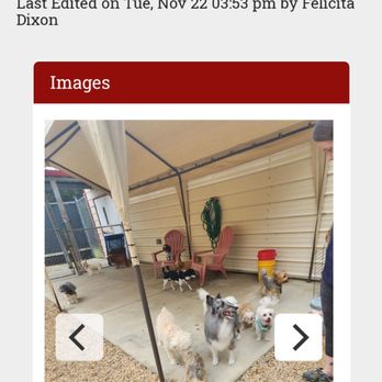 Paws ‘N’ Suds - Pet Groomers Near Me - Summerfield, Florida