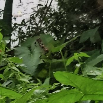 Rainbow Springs State Park - Parks Near Me - Dunnellon, Florida Rainbow Springs State Park - Parks Near Me - Dunnellon, Florida