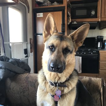 Von Ward Kennels - Pet Breeders Near Me Von Ward Kennels - Pet Breeders Near Me