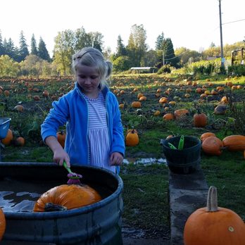 Fiala Farms - Pumpkin washing station! - Farmers Market Near Me - West Linn, Oregon Fiala Farms - Pumpkin washing station! - Farmers Market Near Me - West Linn, Oregon