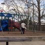 Photo of Tanglewilde Park