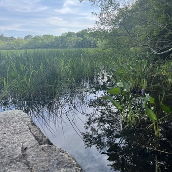 Sandy Acres Recreation Area - Beautiful views - Hiking Near Me - Coventry, Rhode Island Sandy Acres Recreation Area - Beautiful views - Hiking Near Me - Coventry, Rhode Island